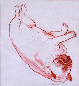Hogarth dormant, 2005