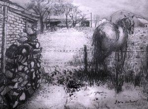 Cheval reposant sa jambe - Joan Thewsey