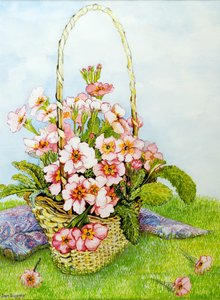 Primevères roses dans un panier de fleuriste avec une écharpe paisley - Joan Thewsey