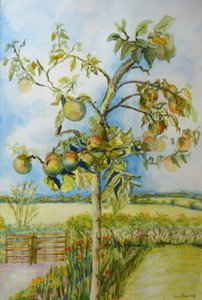 Le pommier