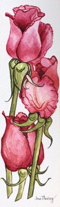 Trois roses rouges