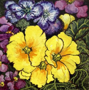 Trois primevères jaunes entourées de primevères mauves et violettes et de feuilles
