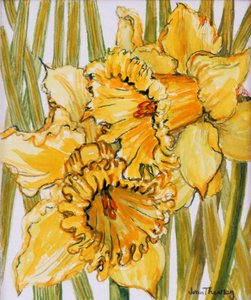 Deux Jonquilles, 2001