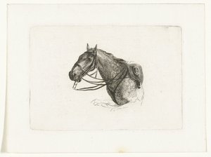 Tête de cheval vers la gauche