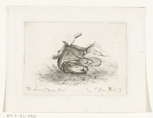 Tête de cheval couché