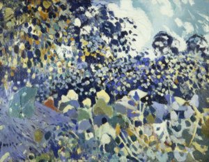 Fleurs - Joaquim Mir i Trinxet