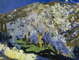 Paysage - Joaquim Mir i Trinxet