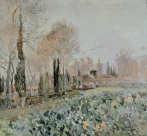 Paysage
