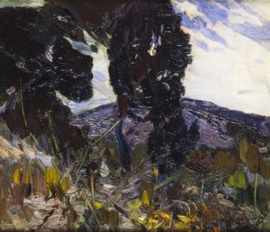 Paysage