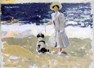 Dame et chien sur la plage