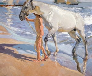 Le bain du cheval