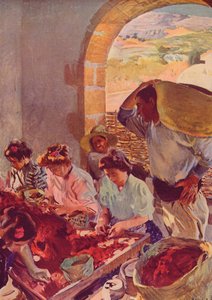 La Préparation des raisins secs, 1890, vers 1932 - Joaquín Sorolla