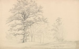  - Johan Christian Dahl