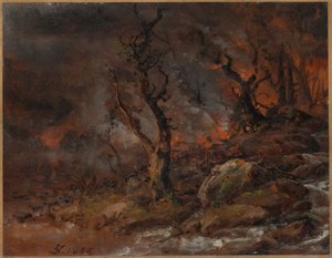 Feu de forêt