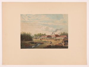 Usine de Pangka près de Tegal à Java central - Johan Conrad Greive