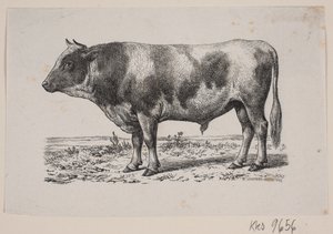 En tyr - Johan Frederik Rosenstand