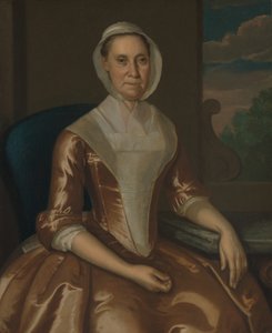 Mme Richard Galloway, 1764