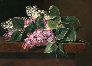 Lilas sur un rebord