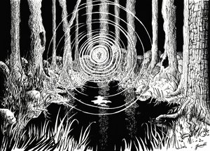 Les ondulations de la forêt mystique - Johan Liewendahl