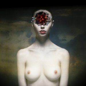 Beaux monstres 2 - Johan Lilja