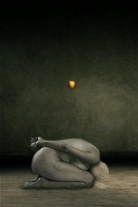 Cacher moi-même, 2013