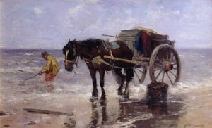 La ramasseuse de palourdes