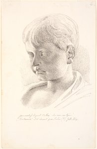 Tête de Britannicus. Profil 3/4 vers la gauche