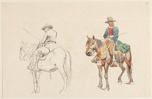 Campagnol à cheval, vu de biais par derrière. Campagnol à cheval vu de biais par devant