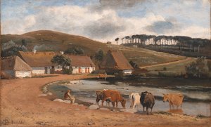 Vaches abreuvées à un étang de village. Brofelde, Zélande