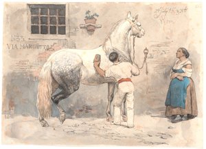 Un cheval gris pommelé brossé à Via Margutta