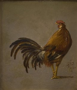Un coq