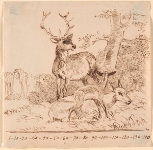Un cerf, une biche et leurs faons
