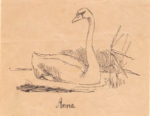 Un cygne
