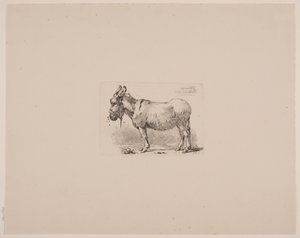 Un âne tourmenté par des mouches - Johan Thomas Lundbye