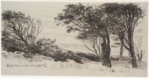 Arbres battus par le vent. Vejrhøj - Johan Thomas Lundbye