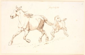 Jument galopante avec poulain