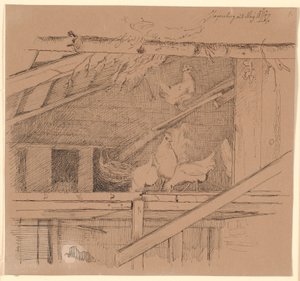 Poules dans un grenier