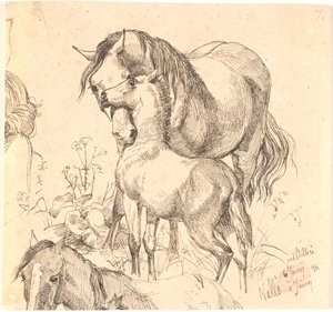 La jument et le poulain, étude de cheval (dos et tête) et oreilles d