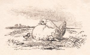 Les Poulets
