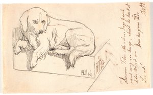 Chien couché