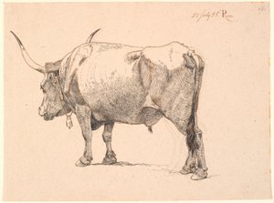 Taureau romain avec une cloche autour du cou, vu de biais par derrière - Johan Thomas Lundbye