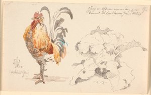 Feuille d