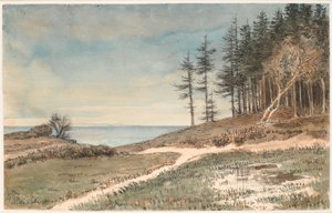 Vue vers Kullen depuis la plage de Hellebæk