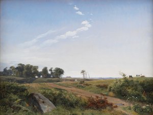 Paysage de Zélande. Campagne ouverte en Zélande du Nord