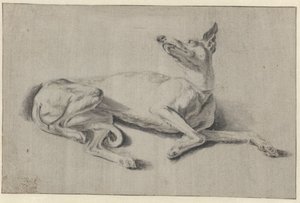 Lévrier couché