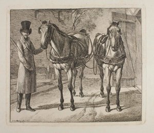 Chevaux d