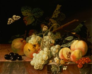 Fruits sur une corniche en marbre avec papillons, escargot et chenille