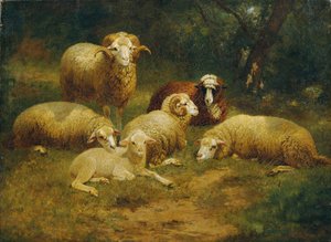 Moutons