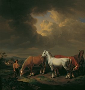 Cinq chevaux de labour