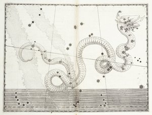 Constellation de Serpens Caput et Serpens Cauda, vers 1603